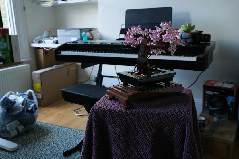 Rendered frame from single view reconstruction